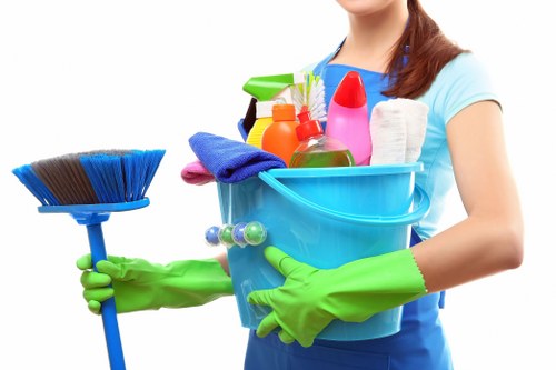 Cleaning rugs and runners as part of carpet care in NW6