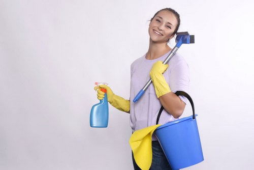 Expert sofa care and stain removal in NW6 homes