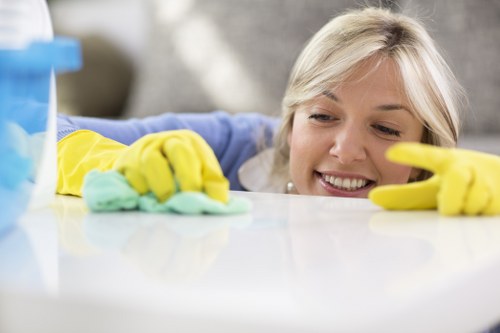 Detailed cleaning of cupboards and fixtures for tenancy handover in NW6
