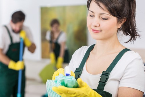 Soft furnishing cleaning service in NW6 interior