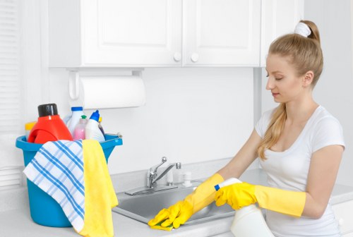 Local oven cleaner in Nw6 restoring an oven door and glass panel